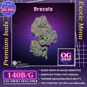 Cannabis flower Name Dracula (In house genetics) Grow by OG team From OG shop Thailand Krabi weed farm at krabi town Thailand ดอกแห้ง Dracula (In house genetics) ปลูกโดย OG team จาก OG shop ฟาร์มกัญชาในจังหวัดกระบี่ ประเทศไทย