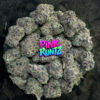 Pink runtz (coppycat genetics)