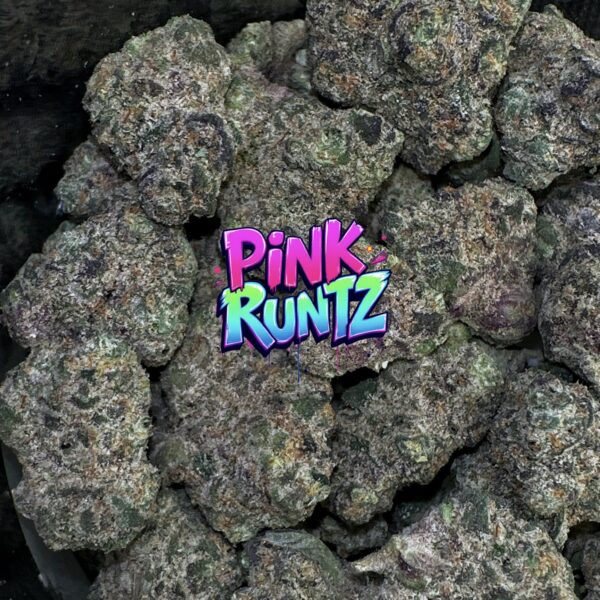 Pink runtz (coppycat genetics)