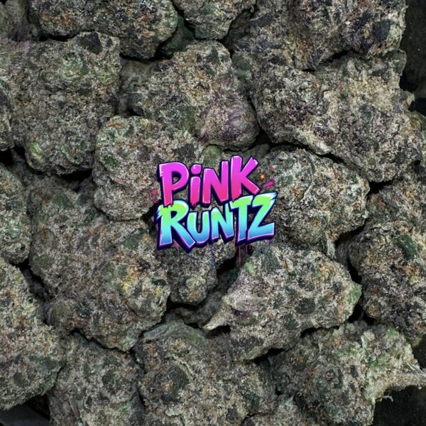 Pink runtz (coppycat genetics)
