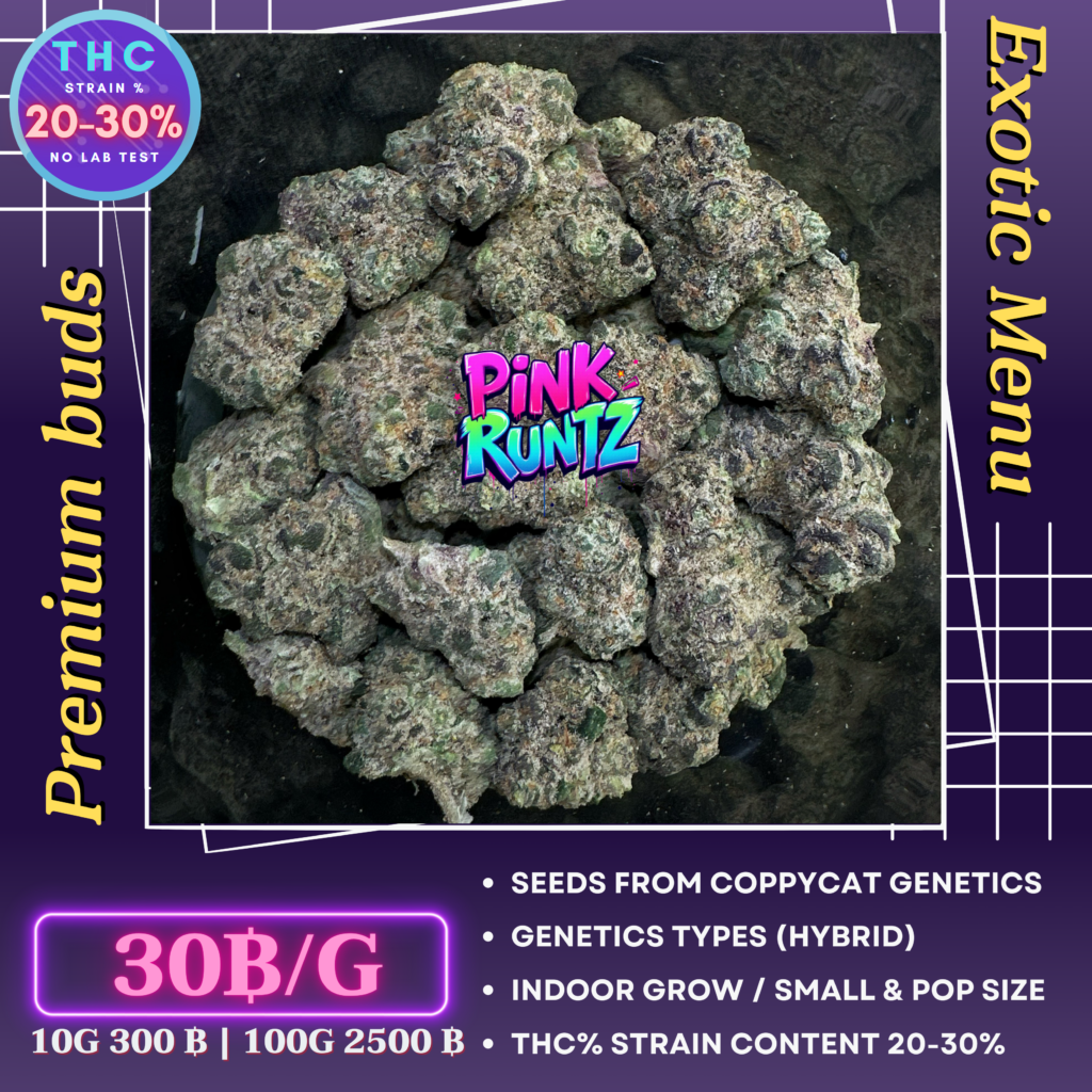 Pink runtz (coppycat genetics)