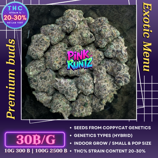 Pink runtz (coppycat genetics)