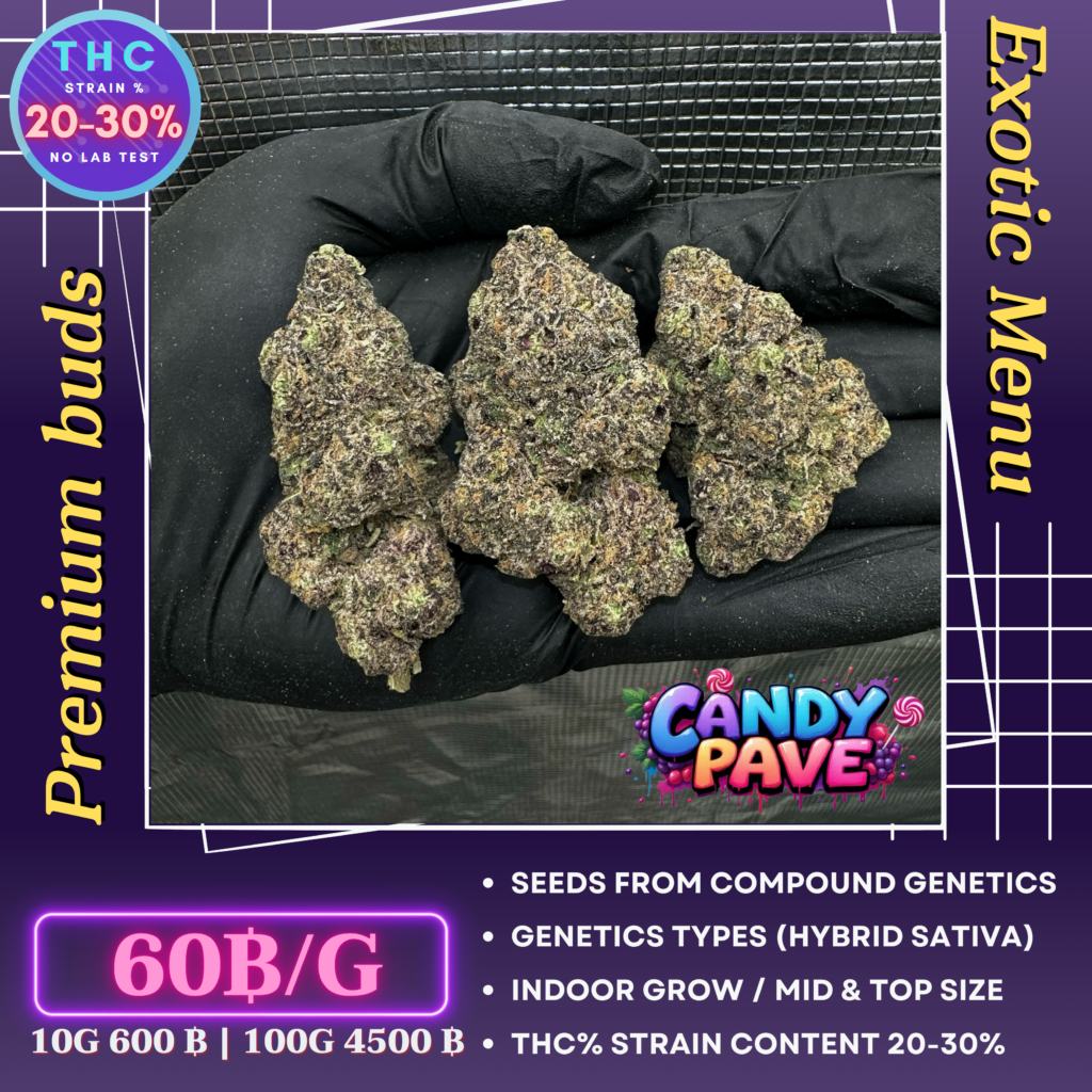 Candy pave (Compound genetics)